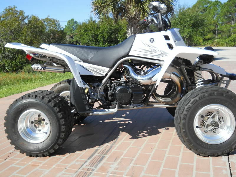 NEW Banshee grill plastic radiator cover SILVER 2002 2006 special limited 8