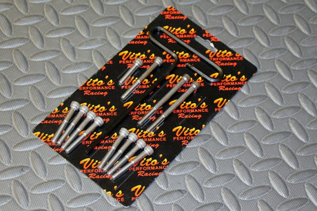 Vito's Stainless Steel allen head BOLT KIT Yamaha Blaster: Engine Case CK200 1