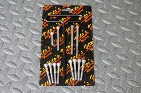 Vito's Stainless Steel allen head BOLT KIT Yamaha Blaster: Engine Case CK200 2
