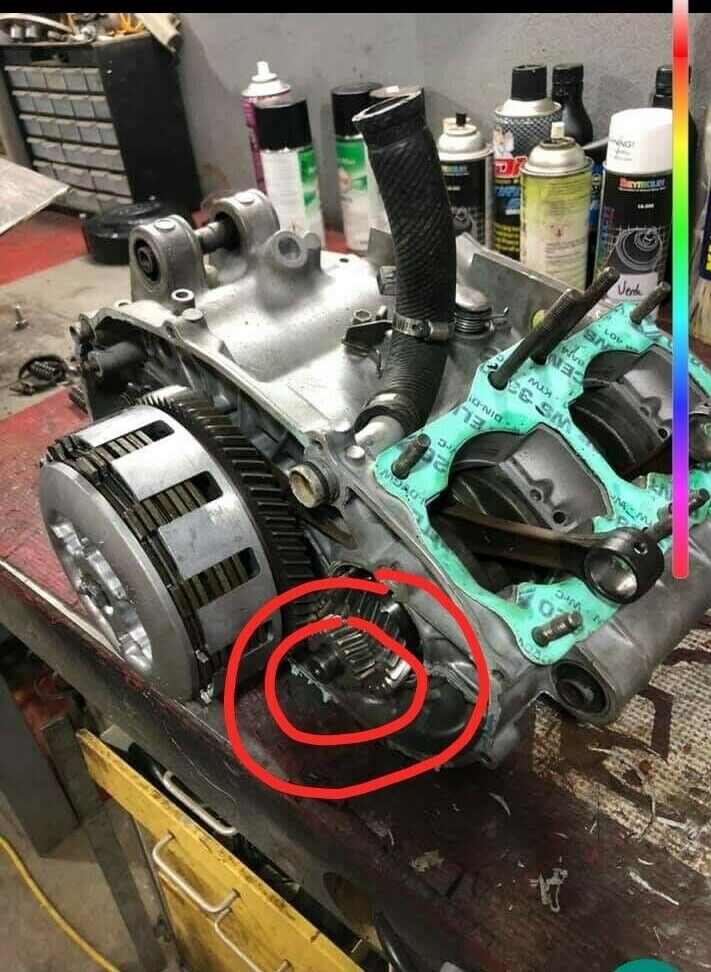 Vito's CRANK GEAR NUT + conical spring washer main gear Yamaha Banshee 1987-2006 2