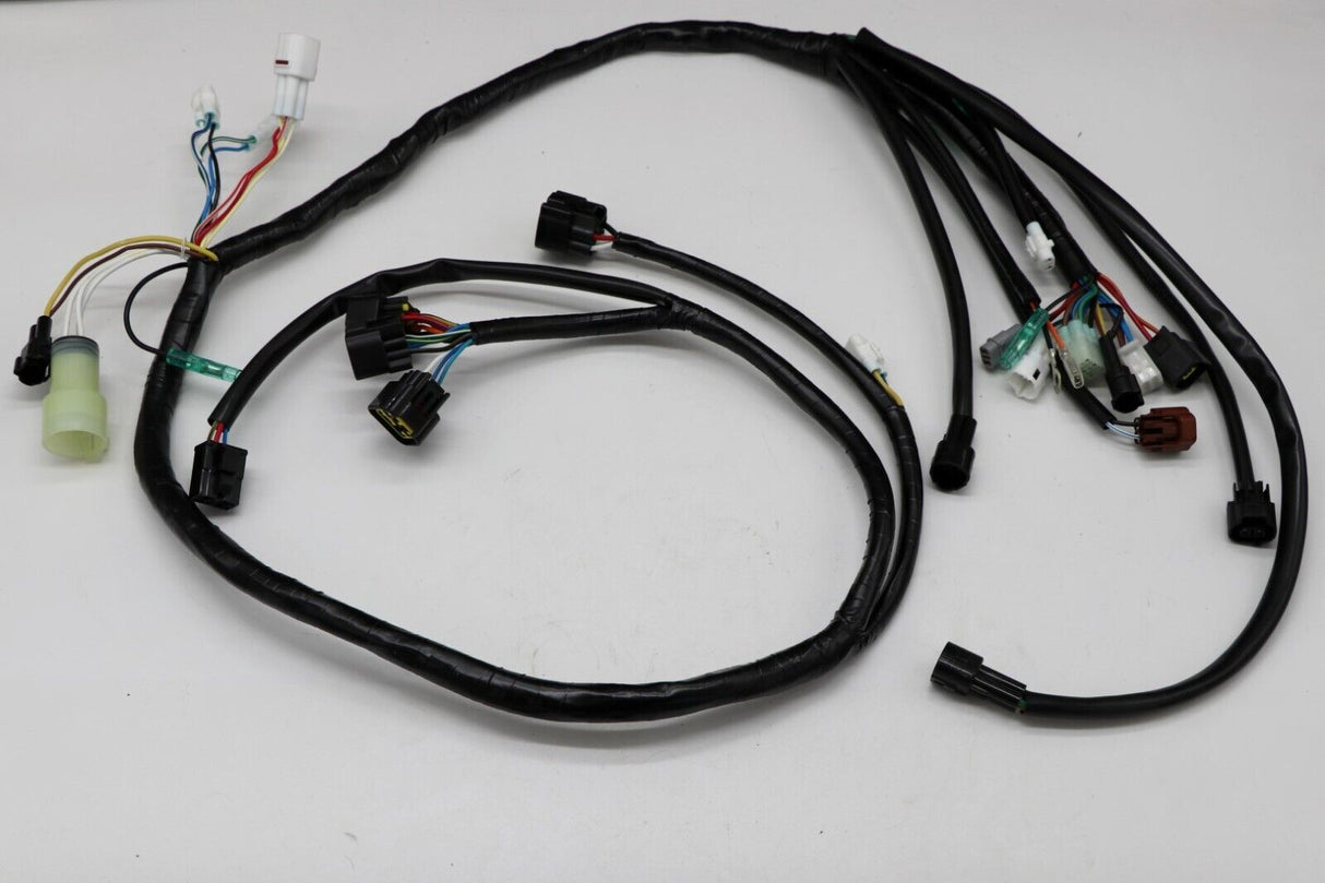 Wire Harness Raptor 660 OEM REPLACEMENT Wiring loom + Plugs 2002 2003 2004 660r 3