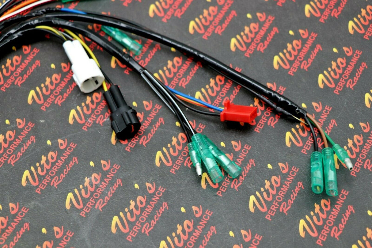 NEW Yamaha BLASTER wiring harness OEM REPLACEMENT 1997-2001 Vito's Performance 4