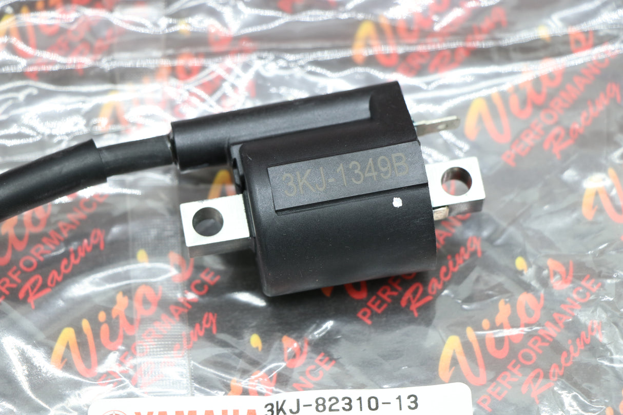 OEM Ignition Coil Yamaha Blaster Raptor 660 Kodiak Grizzly Wolverine TT-R YZ80