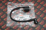 OEM Ignition Coil Yamaha Blaster + Vito's spark plug cap kit