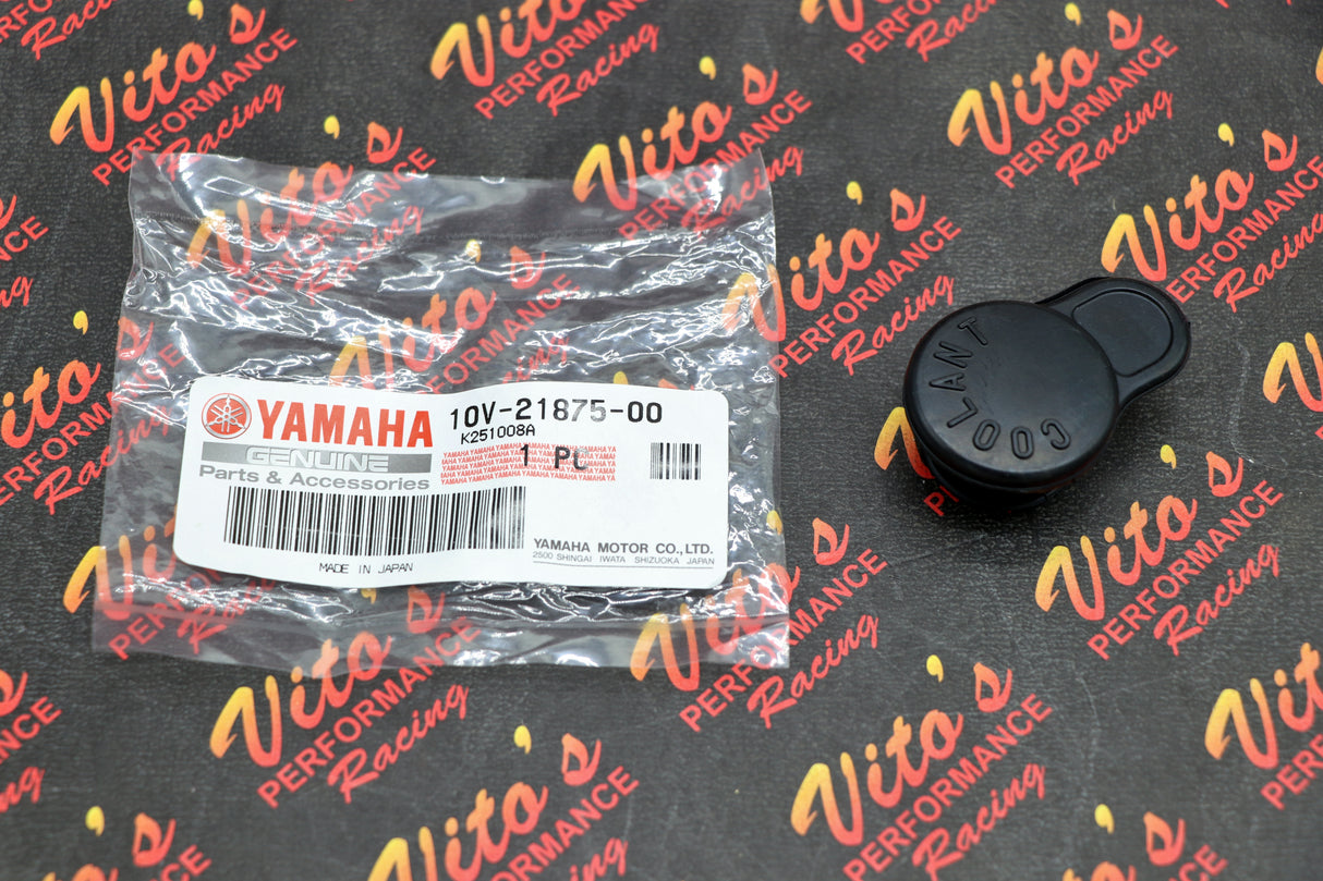 OEM factory coolant overflow CAP rezzy bottle radiator reservoir Yamaha Banshee